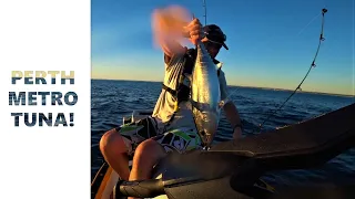 Jetski Vlog#5 - Perth metro Tuna! On the Sea Doo Fish Pro