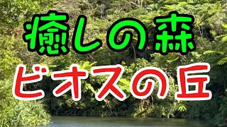 ビオスの丘／2024年5月4日（土）