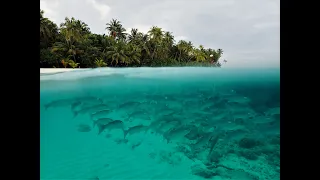 MALEDIVY Filitheyo Island resort. We were in paradise.