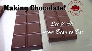 From Bean to Bar: How to Make Chocolate!