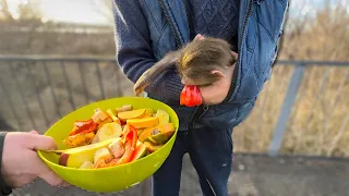 Мы с Люсей пришли кормить нутрий, которые разговаривают КАК ОБЕЗЬЯНЫ!