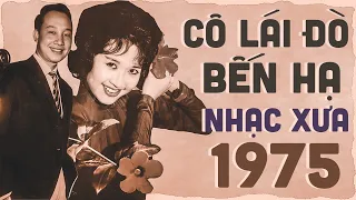 Cô Lái Đò Bến Hạ - Nhạc Xưa 1975 Tuyển Chọn Nghe 1 Lần Là Nghiện - Nhạc Vàng Hải Ngoại Xưa Hay Nhất