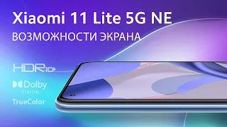 Xiaomi 11 Lite 5G NE - Возможности экрана | Владимир Малинин
