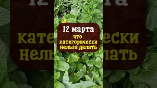 12 марта народный праздник Прокоп Перезимний или Дорогорушитель. Что нельзя делать. Народные приметы