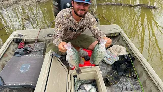 Creek Fishing For Spawning Crappie {Catch Clean Cook}