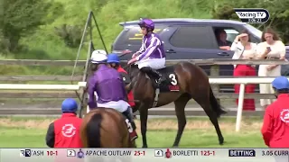 🤣 Blackbeard shows unique character traits at the Curragh