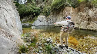 4K | The Coolest Little Stream i have Fished. Sight fishing Brown and Rainbow Trout!