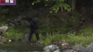 Japanese Bigfoot sighting?  (Stabilized)