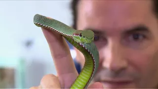 The man who injects himself with snake venom