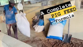 This is How to Make the Most QUALITY Pig Feed (Comprehensive Guide)