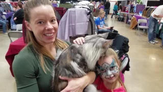 Выставка кошек, Хьюстон. Породистые кошки в США ~ Houston Cats Show