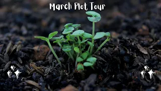 March Plot Tour| Frugal living