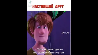 Скуби ду друг настоящий