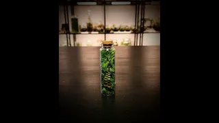 Mini Vertical Terrarium | Quick Build #Shorts