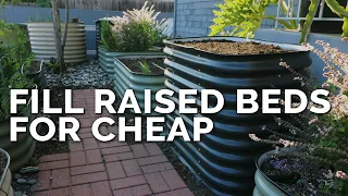 How to Fill a Raised Bed and Save 60%+ on Soil Costs