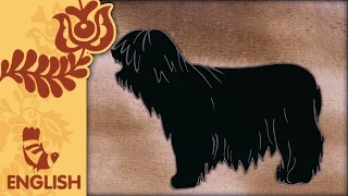 Hungarian Folk Tales: The Little Puli Dog (S02E09)