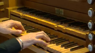 J.S.BACH: In Dir ist Freude BWV 615 Organ: Massimo Pinarello