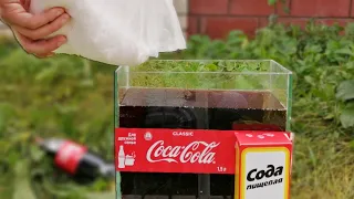 Coca-Cola и Сода: Что если смешать?