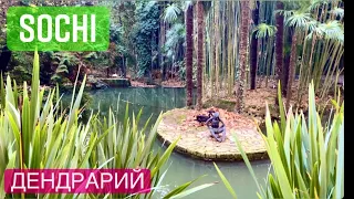 Sochi Dendrarium Walking Tour | 4k UHD 60fps