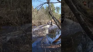 mud boat Russia #mudboat #mudmotor #maxmotor #лодки #goonchboat