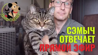 Ответы  на вопросы о кошках и собаках 07.01.2023