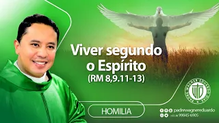 Homilia – Viver Segundo o Espírito (Rm 8,9.11-13) - Padre Wagner Eduardo Dias
