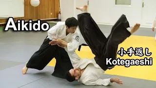 Dynamic and Sharp Aikido - KOTEGAESHI in Greece SHIRAKAWA RYUJI shihan