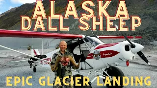 Alaska Dall Sheep Hunt  EPIC GLACIER LANDING (Solo)