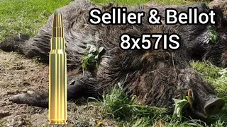 8x57IS Sellier & Bellot Spce effect on a wildboar, broadside shot.