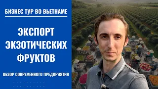 Бизнес-тур во Вьетнам: как выглядит образцовое предприятие по экспорту свежих фруктов