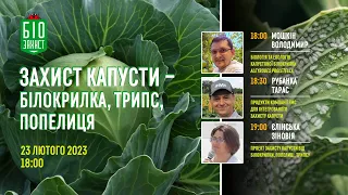 Вебінар №2 Захист капусти