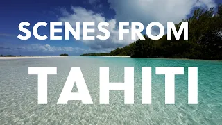 Scenes from Tahiti -  ShaneOgoeS to French Polynesia