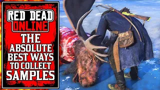 The BEST WAYS To Collect Samples & Rank Up Fast! New Red Dead Online Naturalist Update Tips (RDR2)