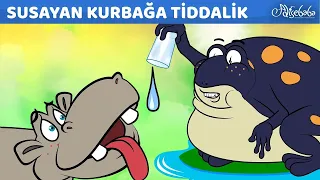 Susayan Kurbağa Tiddalik + Kayıp Ejderha + Kibirli Gül | Adisebaba Masallar