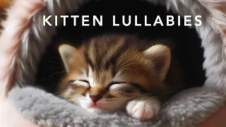 Cozy Kitten Lullabies for Sweet Dreams! #cat #kitten #lullaby #music #love #meditation #relaxing