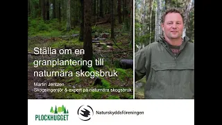 Ställ om en granplantering till naturnära skogsbruk – hur gör man?