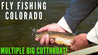 Backcountry Fly Fishing for BIG TROUT in Colorado - PART 1