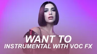 Dua Lipa - Want To (Instrumental w/ Voc FX)