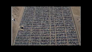 Как выглядит самое большое кладбище Volkswagen в США