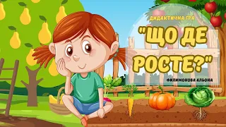 Овочі та фрукти🍓🍒🫑🥕 "Що де росте?"