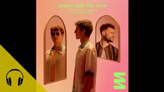 Lost Frequencies & Calum Scott - Where Are You Now (1 Hour)