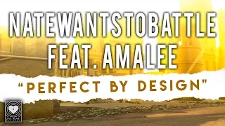 NateWantsToBattle - Perfect by Design feat. AmaLee (Official Lyric Video) on iTunes & Spotify