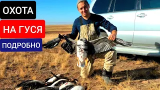 ОХОТА НА ГУСЯ В ДЕТАЛЯХ! ОСЕНЬ 2022! АКМОЛИНСКАЯ ОБЛАСТЬ! КАЗАХСТАН! GOOSE HUNTING