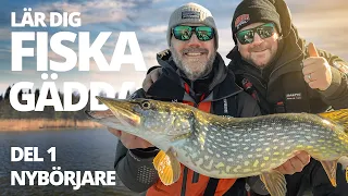 Lär dig fiska gädda, del 1 - Nybörjare  |  Sportfiskeprylar.se