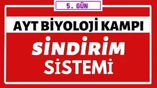 Sindirim Sistemi | AYT BİYOLOJİ KAMPI | 5.gün |