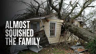 How to Survive a Tree Falling on Your House