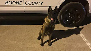 New K9 on the Job Helps Find Missing Man in Cornfield