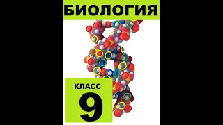 § 42 Сообщество, экосистема, биогеоценоз