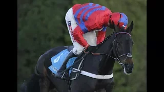 Sprinter Sacre's chasing debut