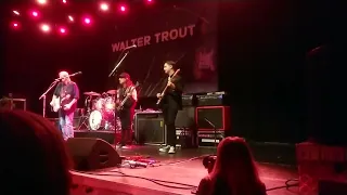 WALTER TROUT  LIVE 6/4-2024🇩🇰  COURAGE IN THE DARK @TheWaltertrout #WALTERTROUT #courageinthedark